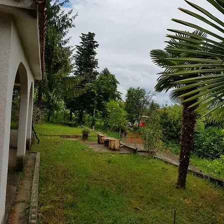 Cerco Laurana