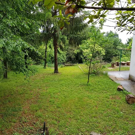 Cerco Laurana