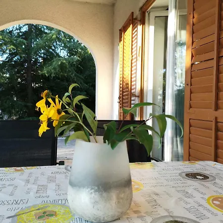 Cerco Appartamento *