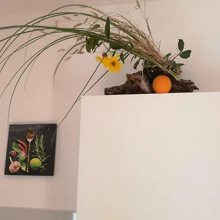 Apartman Cerco